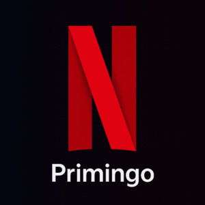 Netflix Private Account 4K – 1 to 12 Month Subscription with Instant Access