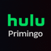 Buy Hulu premium shared accounts with Live TV and no ads – 1 year and 3 month plans available