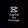 An image for showing the capcut pro logo