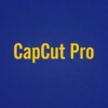 Image Is To Showcase The Product Buy Capcut Pro Accounts For Sale In Cheap Rates